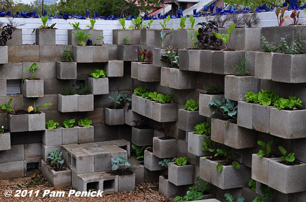 Cinderblock-wall-vegetable-garden
