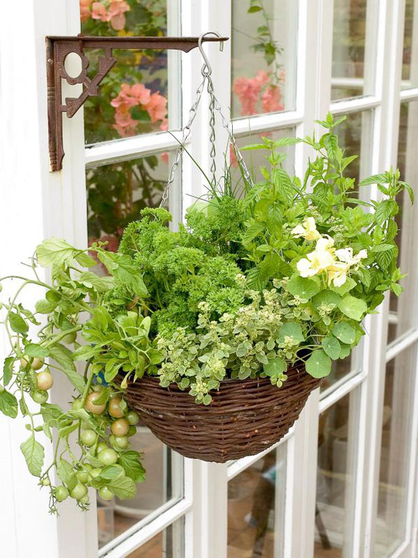 hanging-basket-vegetable-garden