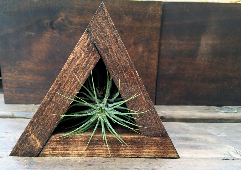 airplant-holders_250516_02