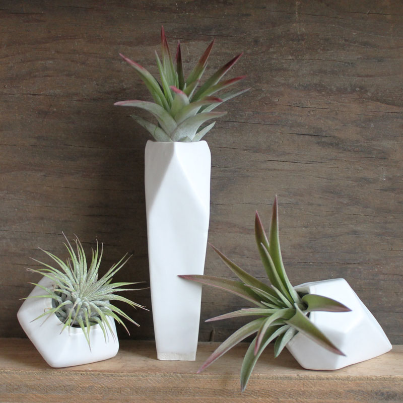 airplant-holders_250516_04