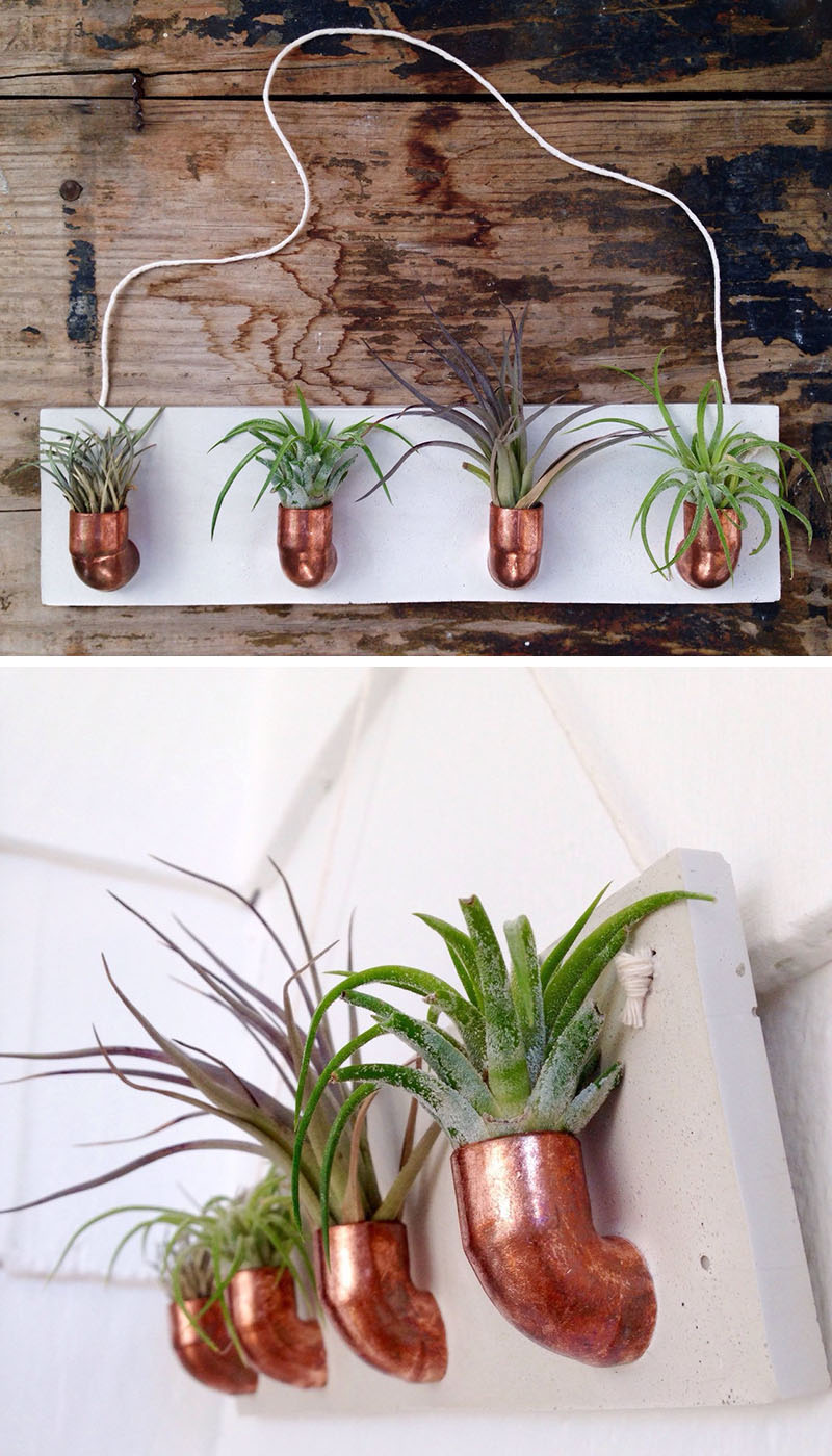 airplant-holders_250516_05