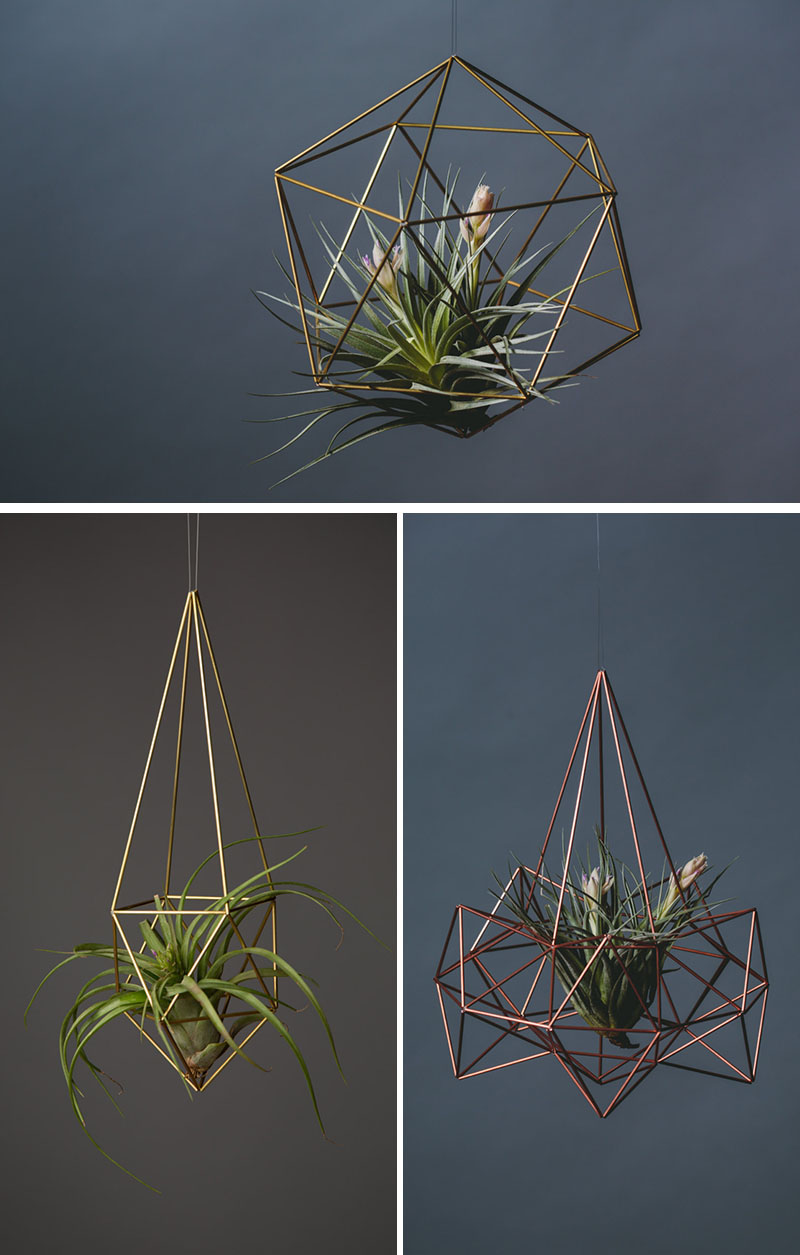 airplant-holders_250516_08