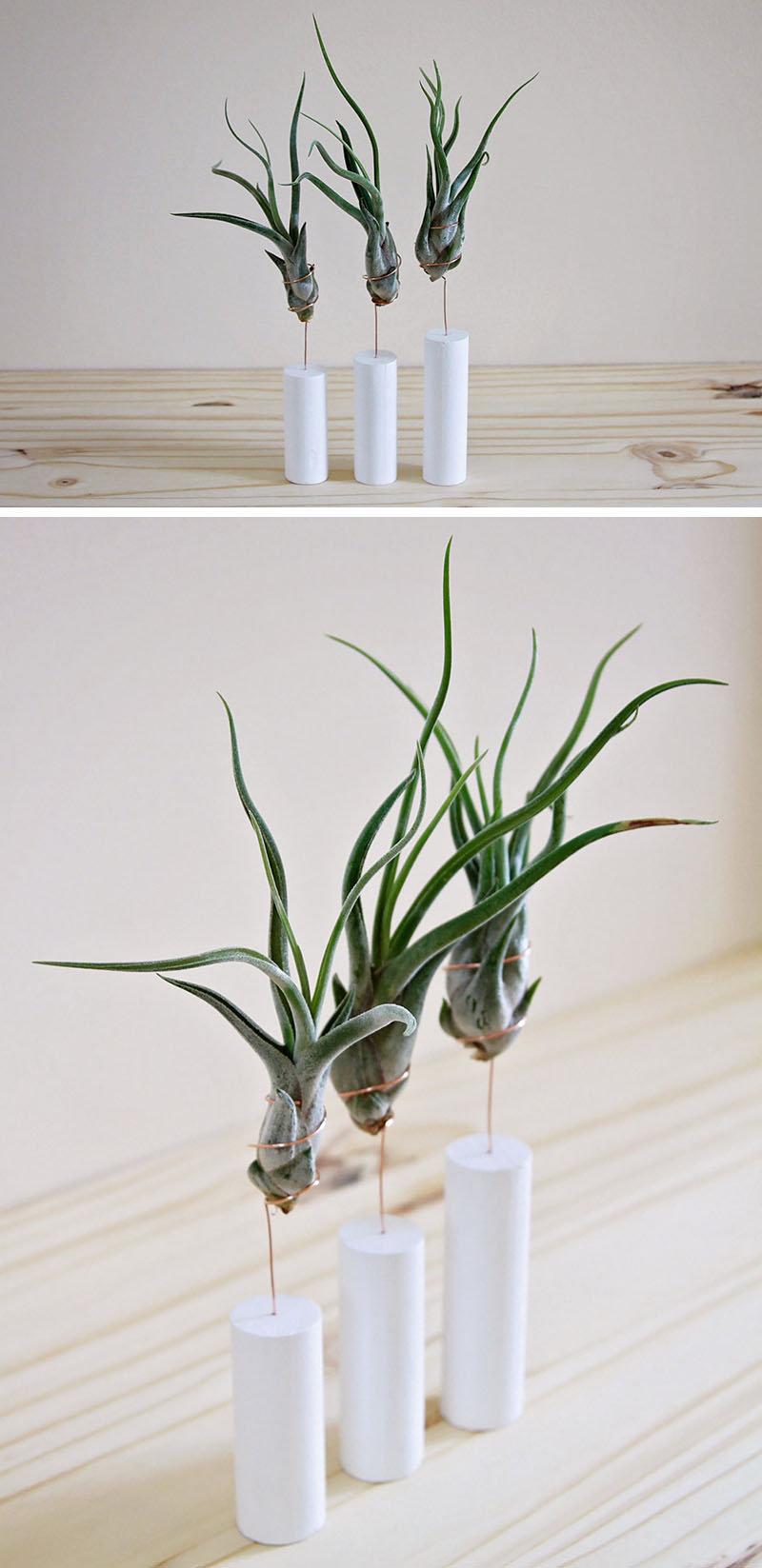 airplant-holders_250516_10