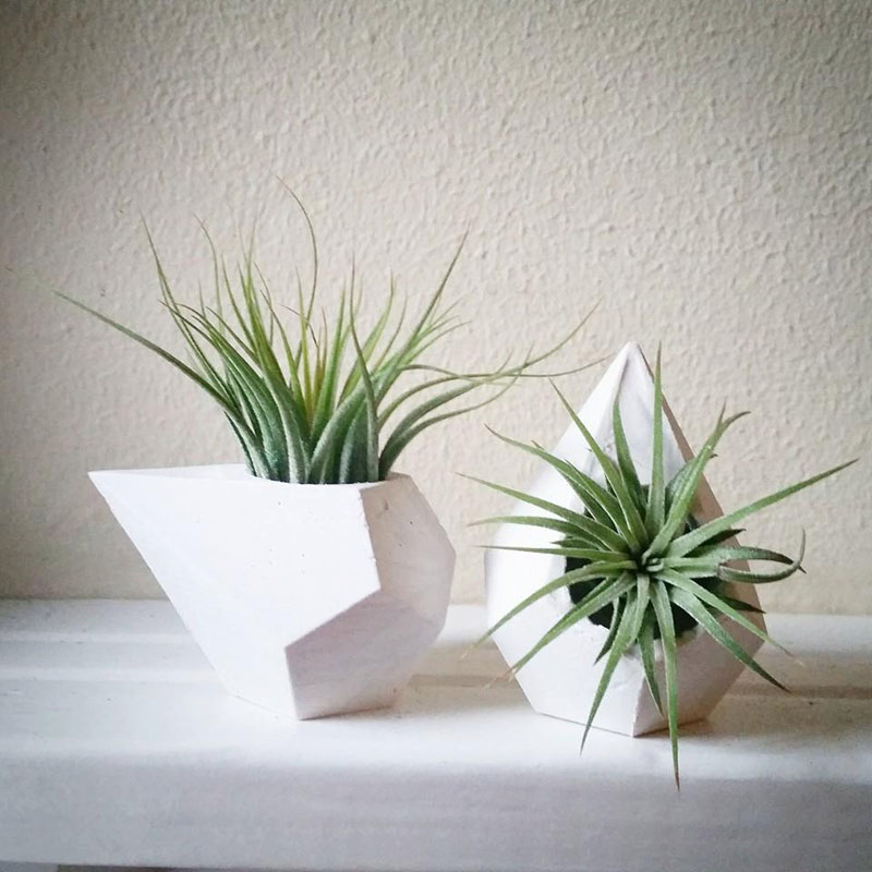 airplant-holders_250516_11