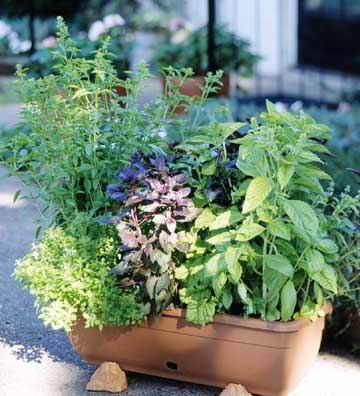 herb-garden-inspirations11