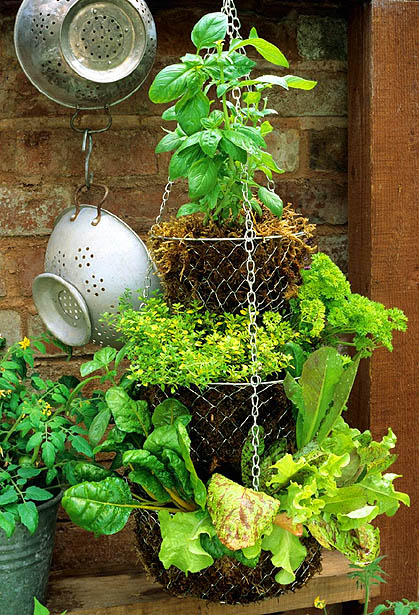 herb-garden-inspirations26