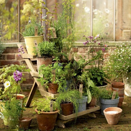herb-garden-inspirations30-500x500
