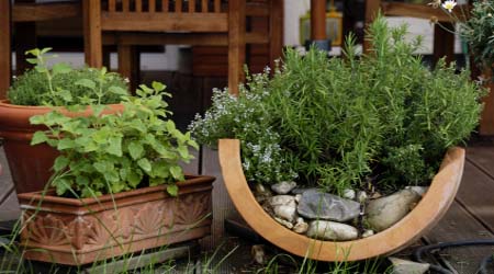 herb-garden-inspirations5