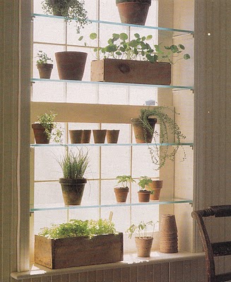 window-herb-garden