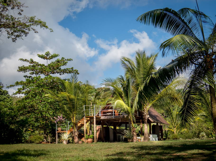 Cabin-in-the-Jungle-Costa-Rica-18