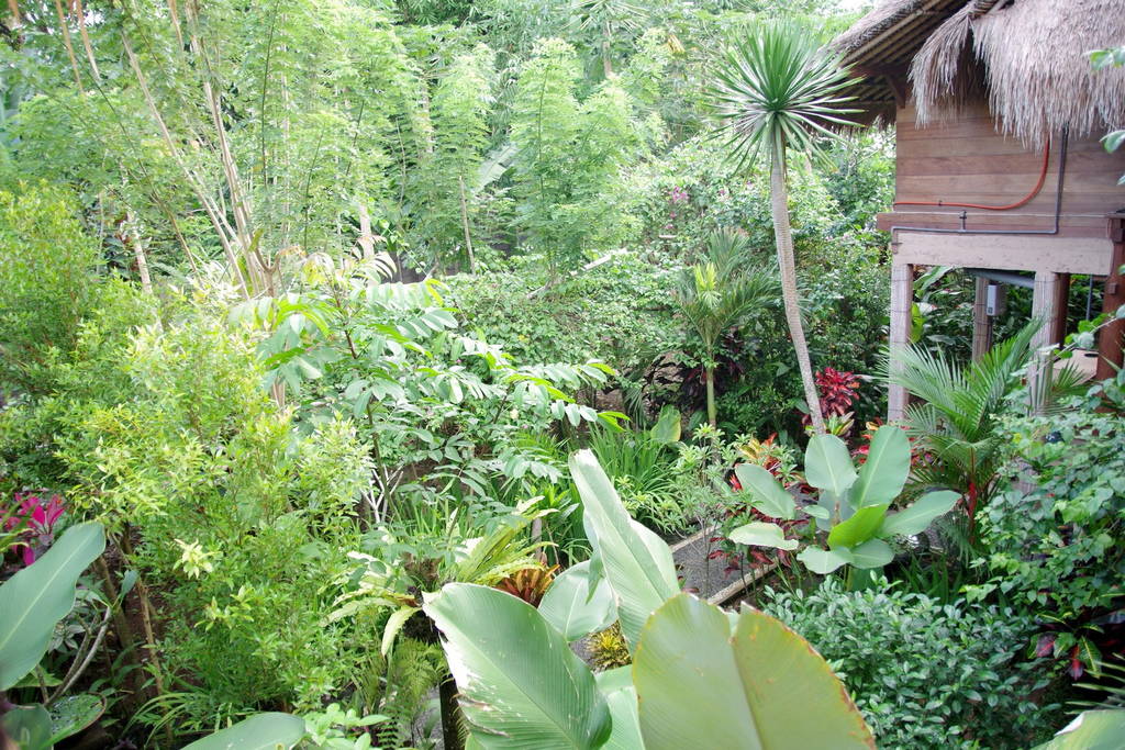 organic-bamboo-bungalow-in-bali-19